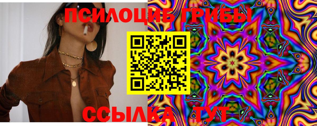 Галлюциногенные грибы Cubensis  Азов  Псилоцибиновые грибы мицелий 
