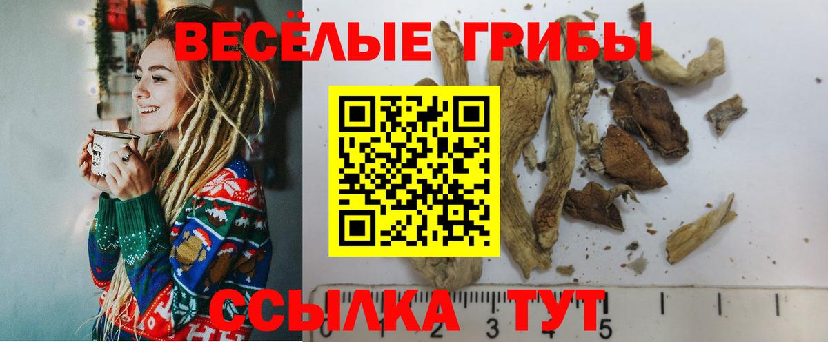 Галлюциногенные грибы прущие грибы Азов